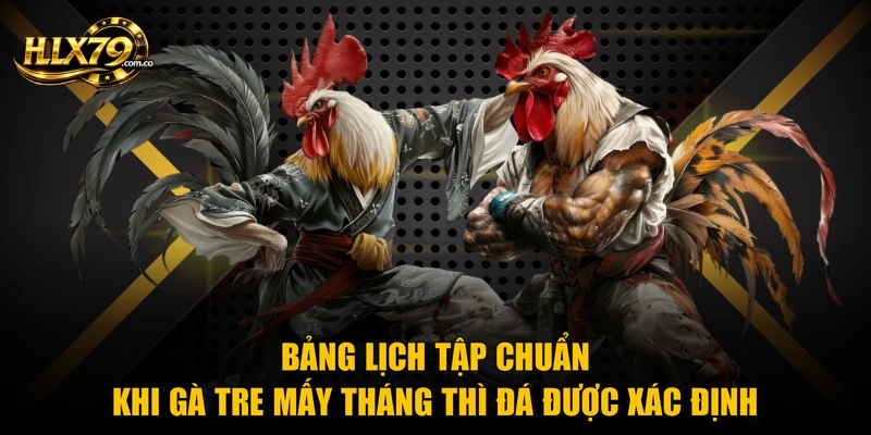 Bảng lịch tập chuẩn khi gà tre mấy tháng thì đá được xác định Bảng lịch tập chuẩn khi gà tre mấy tháng thì đá được xác định