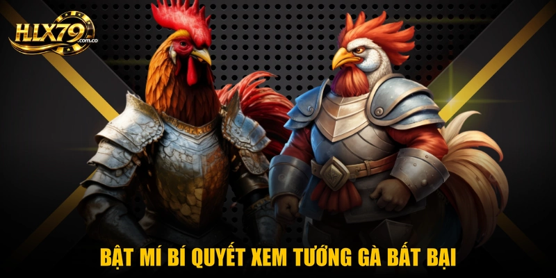 Bật mí bí quyết xem tướng gà bất bại Bật mí bí quyết xem tướng gà bất bại