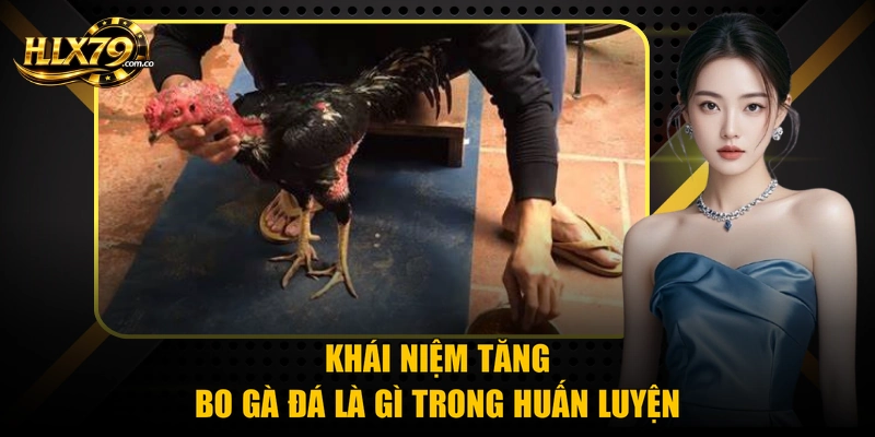 Khái niệm tăng bo gà đá là gì trong huấn luyện Khái niệm tăng bo gà đá là gì trong huấn luyện