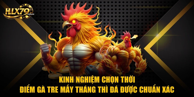 Kinh nghiệm chọn thời điểm gà tre mấy tháng thì đá được chuẩn xác Kinh nghiệm chọn thời điểm gà tre mấy tháng thì đá được chuẩn xác