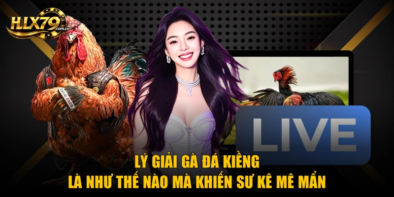 Lý giải gà đá kiềng là như thế nào mà khiến sư kê mê mẩn Lý giải gà đá kiềng là như thế nào mà khiến sư kê mê mẩn