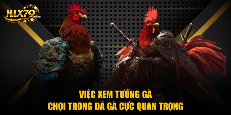 Việc xem tướng gà chọi trong đá gà cực quan trọng Việc xem tướng gà chọi trong đá gà cực quan trọng